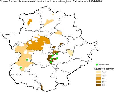 West Nile virus emergence in humans in Extremadura, Spain 2020